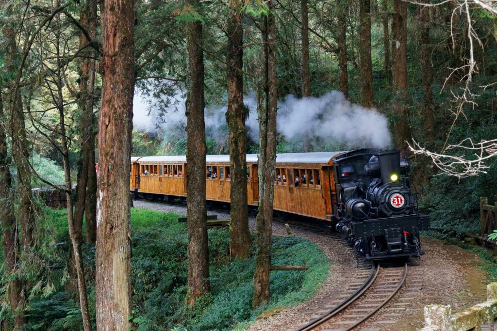 A tourist train, hauled by an antique steam locomotive, travels thru a railway curve in the lush forest