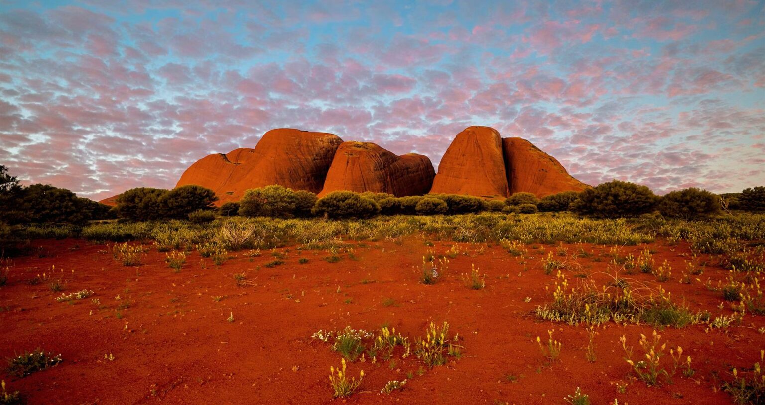 The Ghan Expedition Packages - 2025 - Aussie Trains