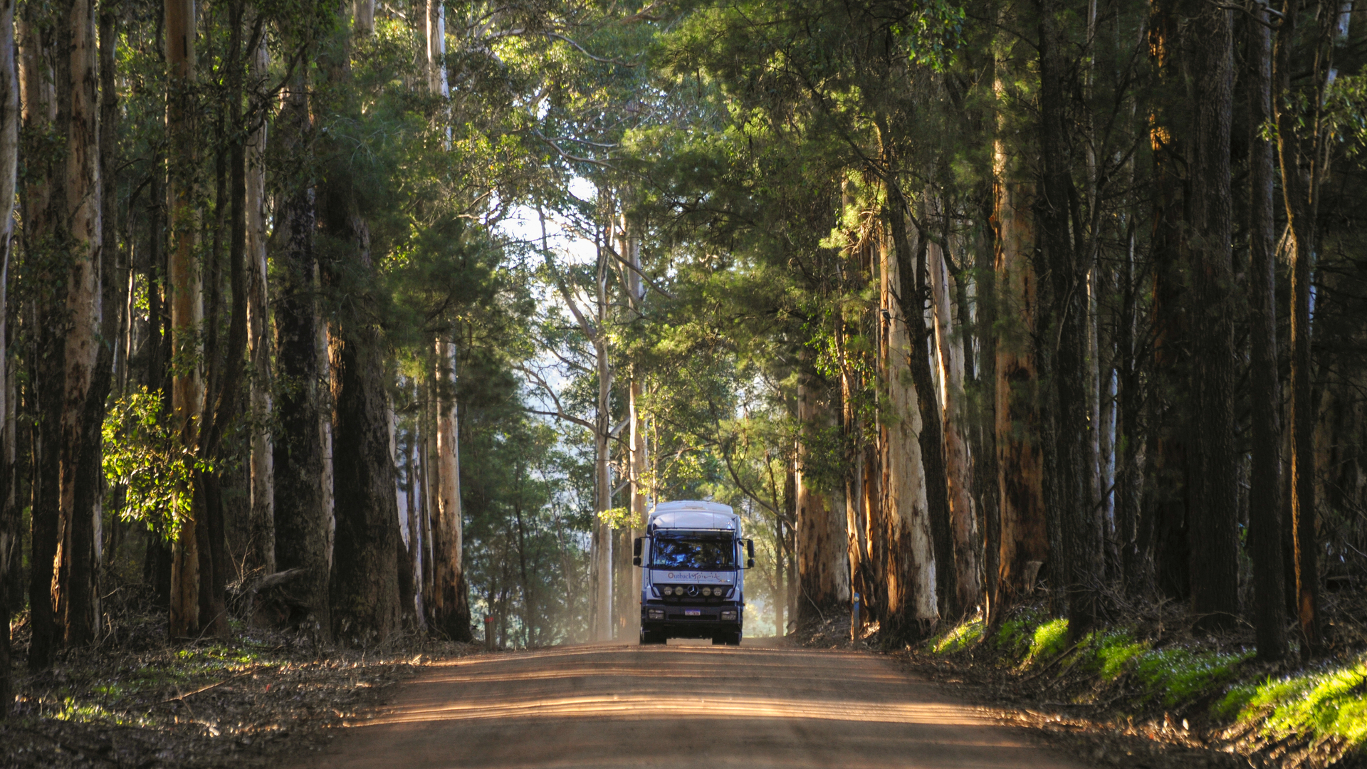 OS-Experience-Western-Wildflowers-Discovery-Karrie-Forest-8 (1)