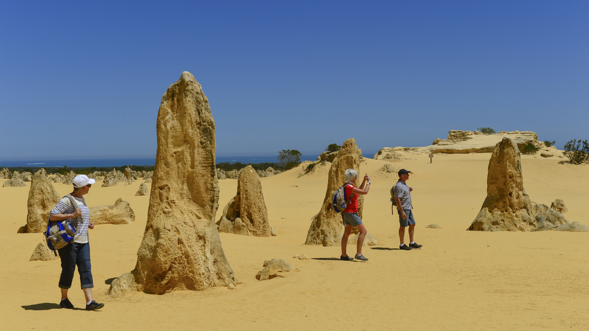 OS-Experience-Western-Wildflowers-Discovery-The-Pinnacles-17