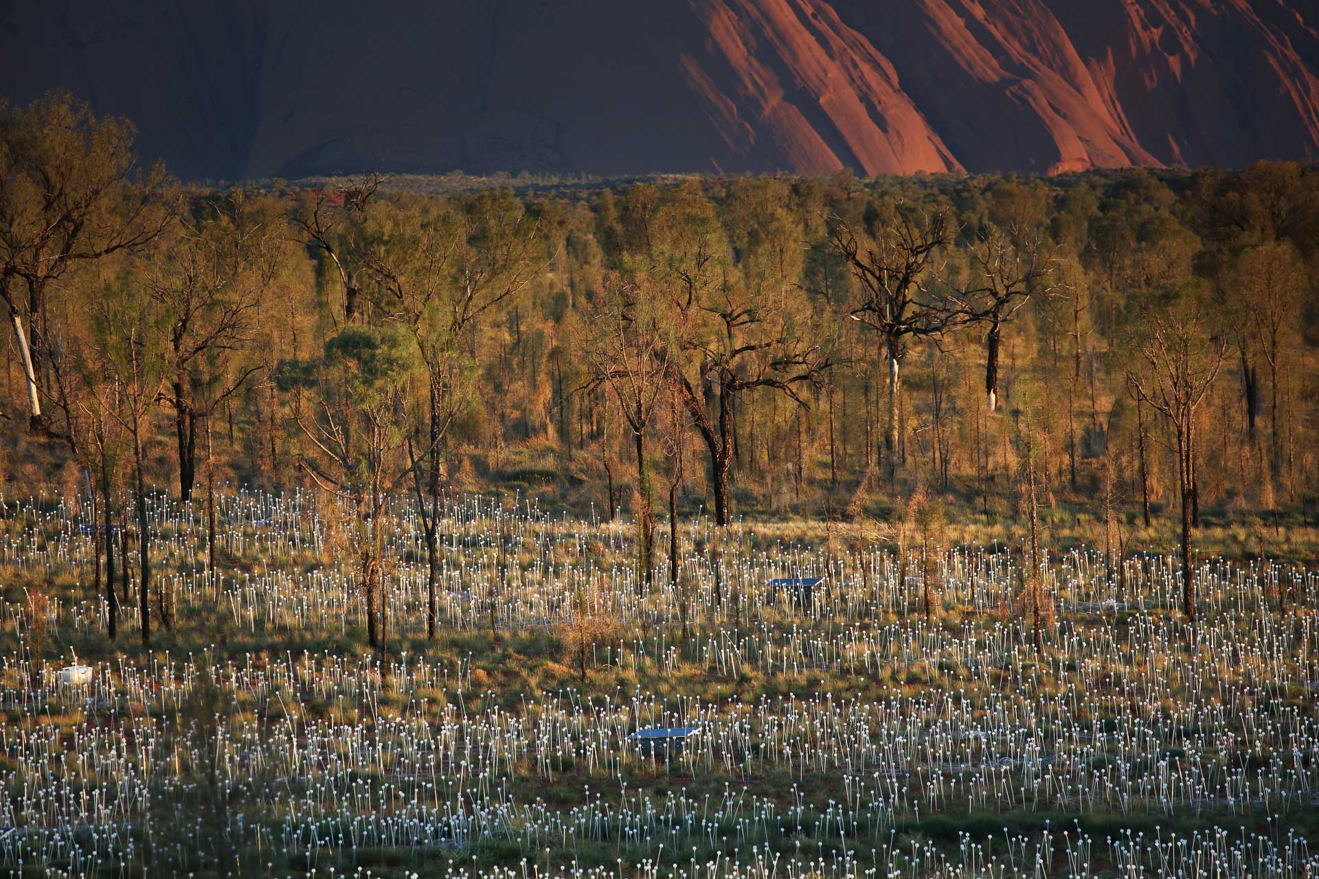 central-australia-21 (1)