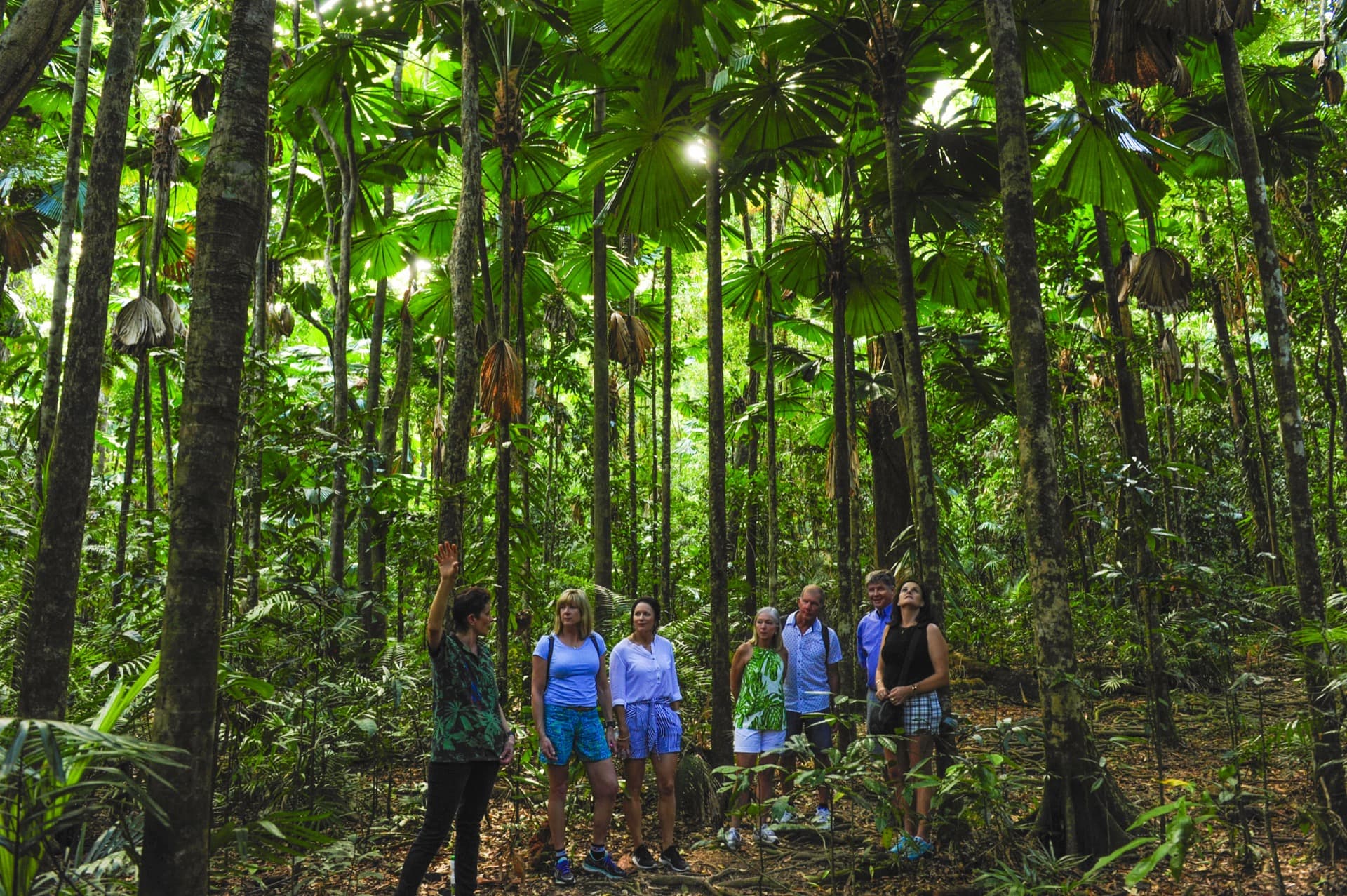 cape-york-gallery-10