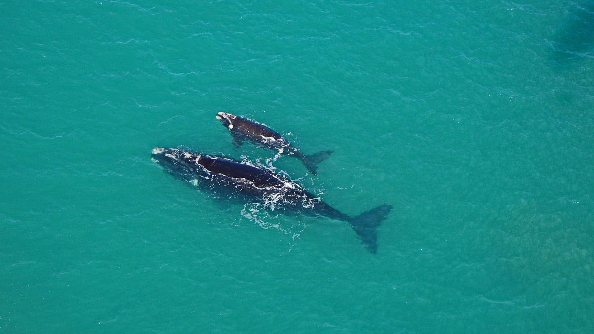 south-australia-26
