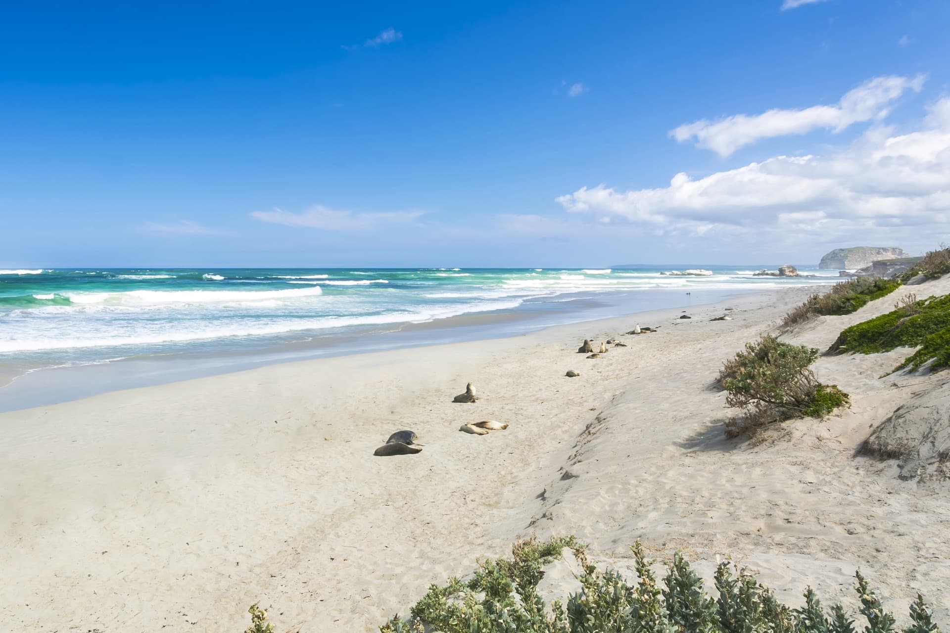south-australia-kangaroo-island