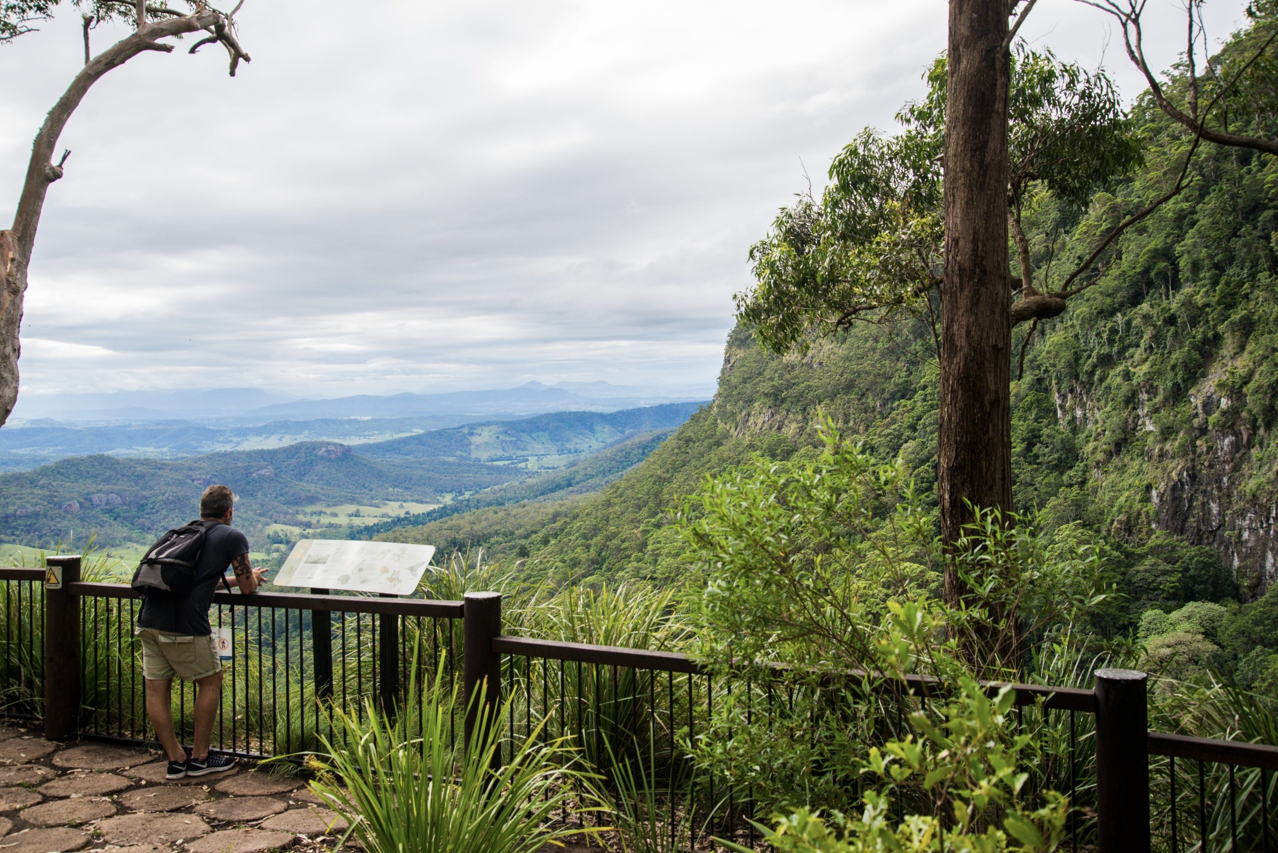 141458-2020_GC_LamingtonNationalPark_MoransFalls_BrookeDarling-6-scaled