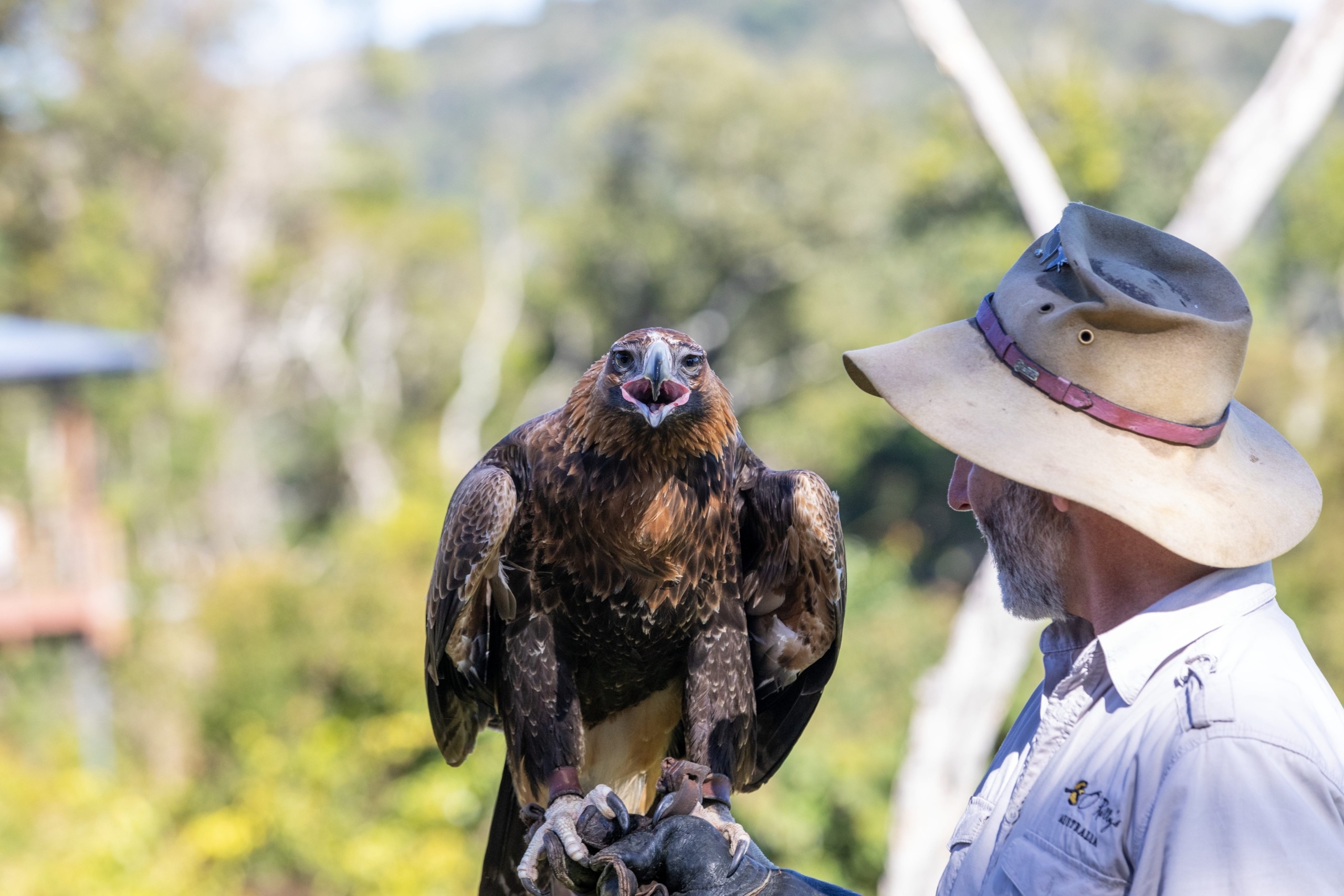 147768-2021_GC_Canungra_LamingtonNationalPark_OreillysRainforestRetreat_MarcLlewellyn_170A7617A-6-scaled